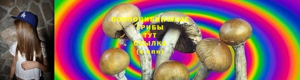 стафф Алзамай
