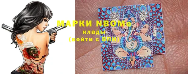 стафф Алзамай
