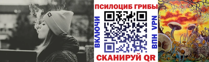 Галлюциногенные грибы Magic Shrooms  гидра вход  Чёрмоз 