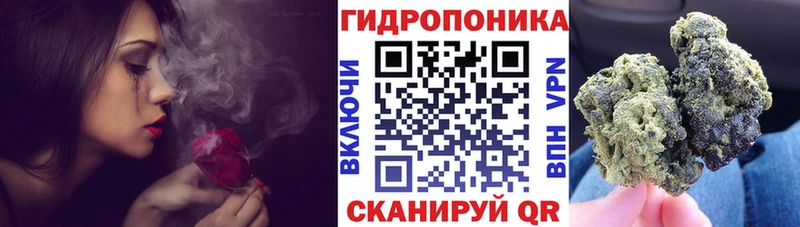 кракен ТОР  купить наркотики цена  Чёрмоз  Конопля VHQ 